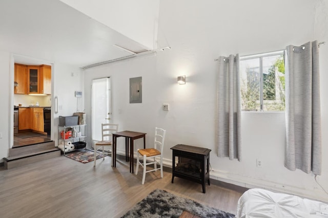 interior space featuring attic access, electric panel, wood finished floors, and a wood stove
