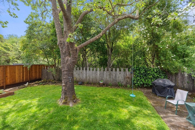 view of yard with a fenced backyard