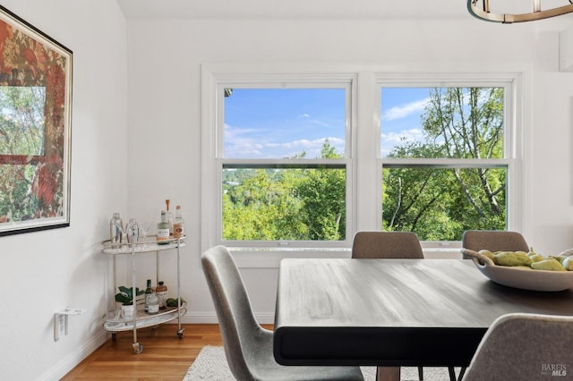 dining room featuring baseboards and wood finished floors
