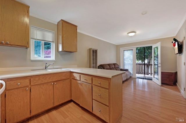 215 Iowa St, Santa Rosa, CA 95401 - kitchen with a peninsula, open floor plan, light countertops, and light wood-type flooring
