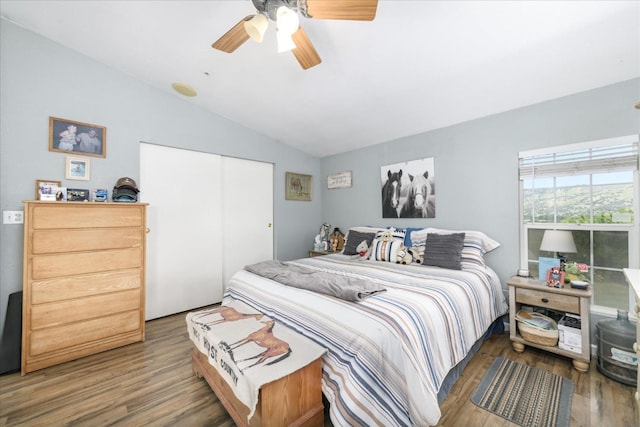 bedroom featuring vaulted ceiling, wood finished floors, a closet, and ceiling fan