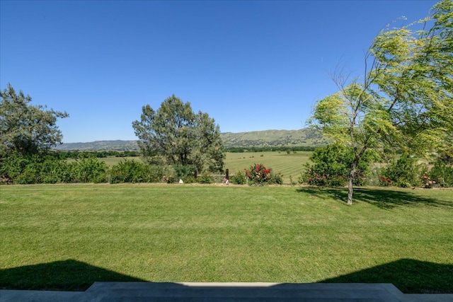 view of yard with a mountain view and a rural view