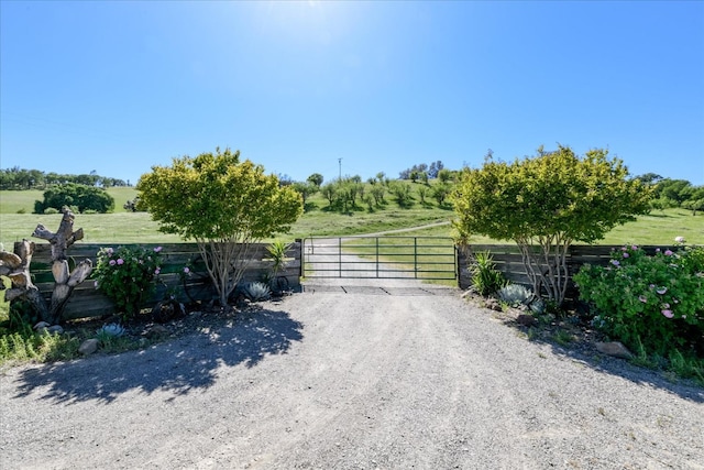 view of street with a gated entry, a rural view, and a gate