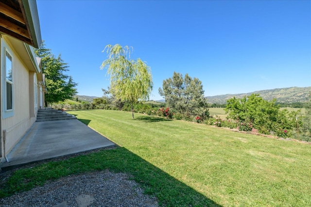 view of yard with a patio area and a mountain view