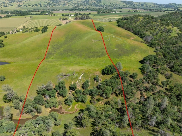 bird's eye view featuring a rural view
