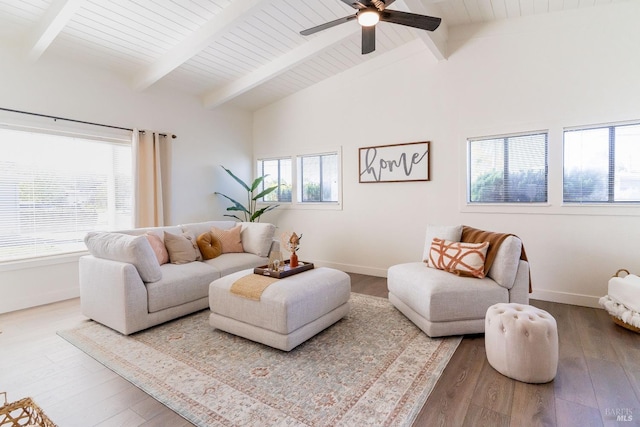 living area with ceiling fan, a wealth of natural light, lofted ceiling with beams, and wood finished floors