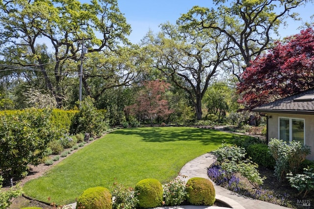 1571 Silver Trl, Napa, CA 94558 - view of yard