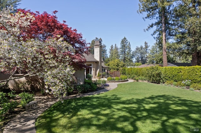 1571 Silver Trl, Napa, CA 94558 - view of yard