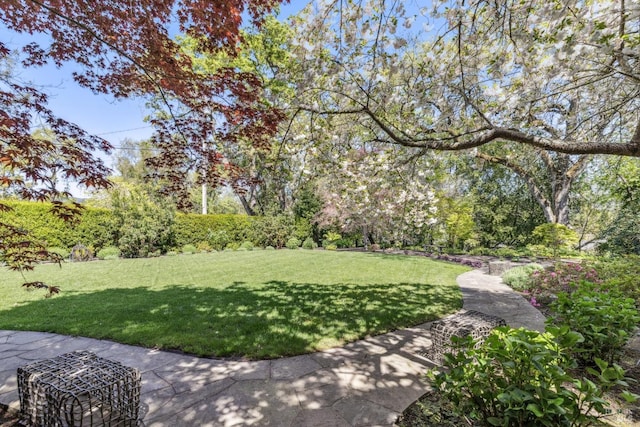 1571 Silver Trl, Napa, CA 94558 - view of yard