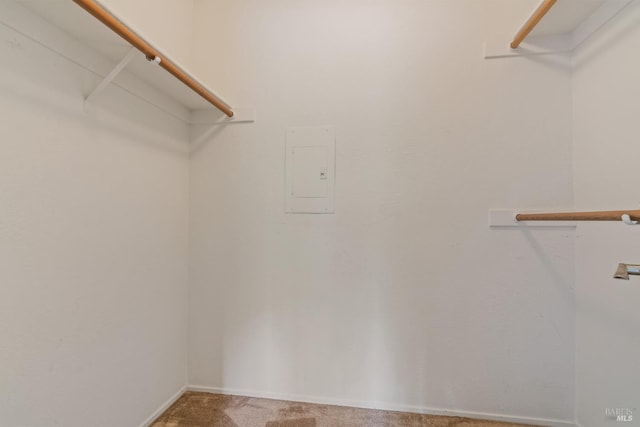 walk in closet featuring carpet flooring