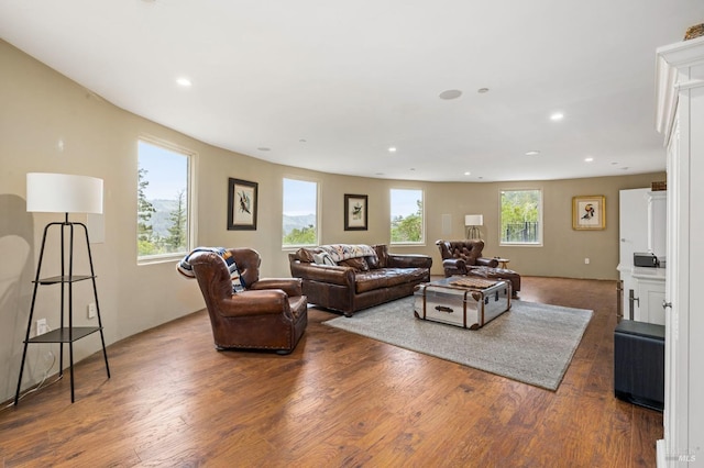 living area featuring wood finished floors and recessed lighting