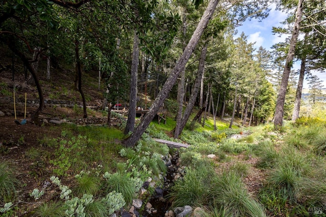 view of undeveloped land
