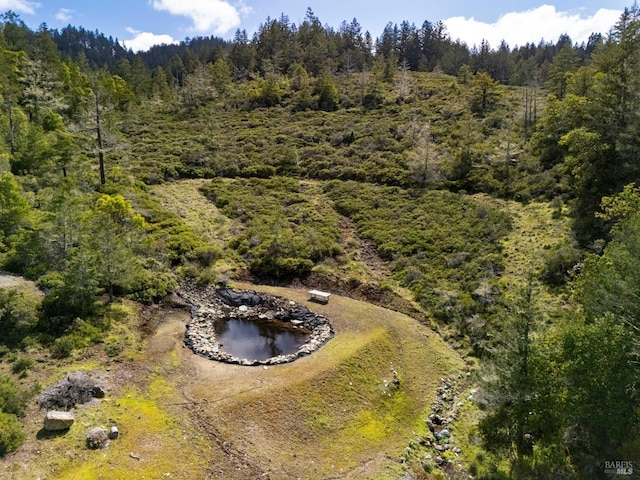 bird's eye view of a forest
