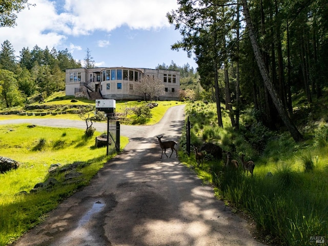 view of asphalt driveway