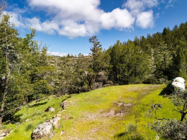 view of woods