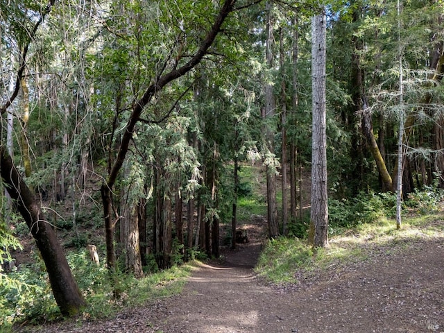 view of tree filled area