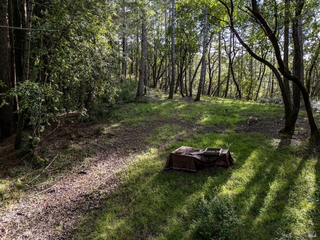view of yard featuring a forest view