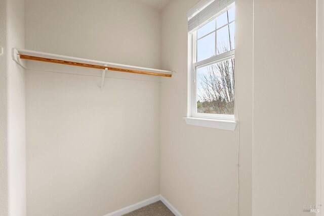 walk in closet featuring carpet floors