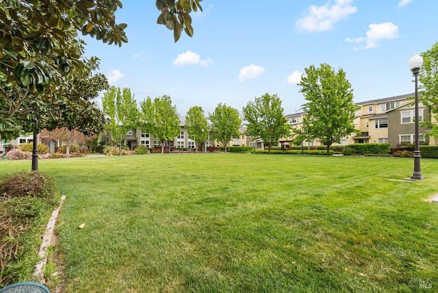 view of yard featuring a residential view