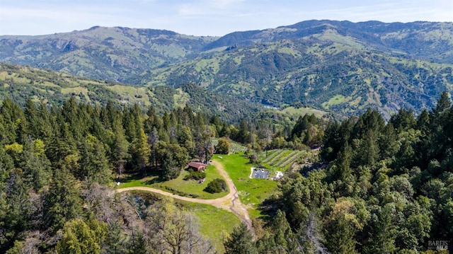 drone / aerial view featuring a view of trees and a mountain view