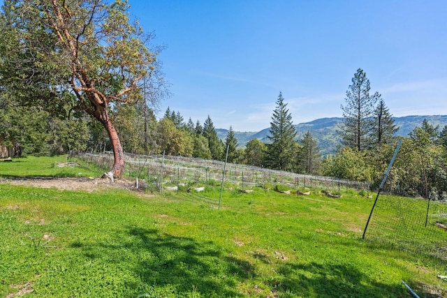view of yard featuring fence and a mountain view