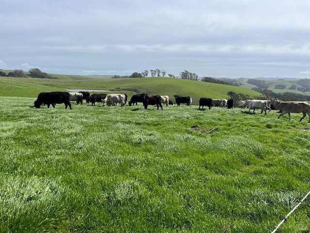 view of home's community with a rural view