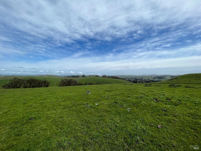 view of local wilderness with a rural view
