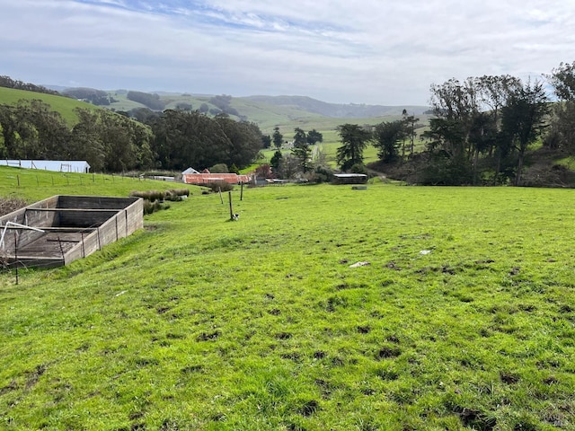 view of yard featuring a rural view and a mountain view