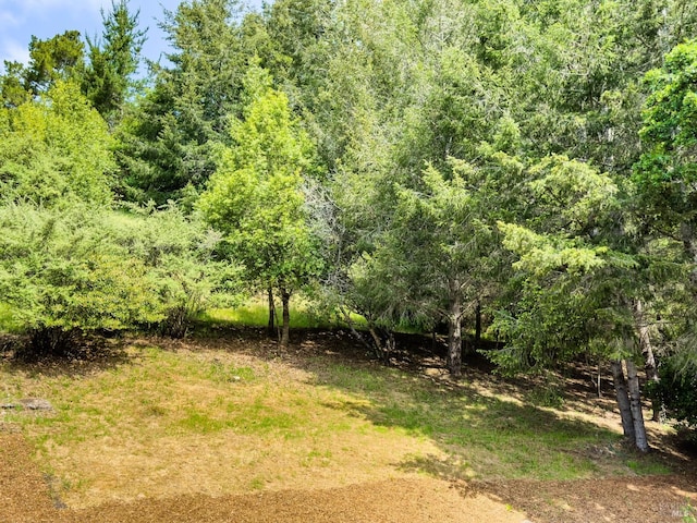 view of local wilderness