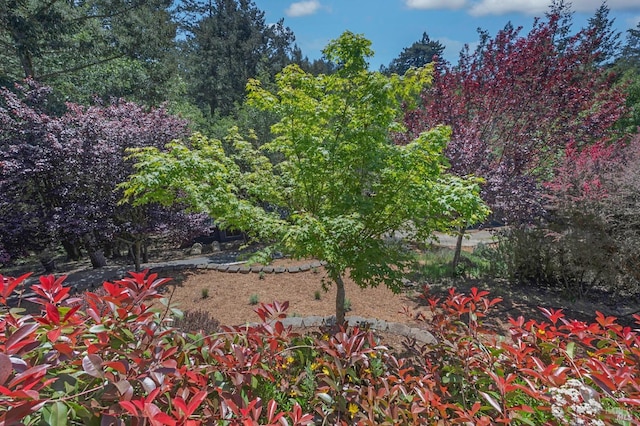 750 Wagnon Rd, Sebastopol, CA 95472 - view of yard