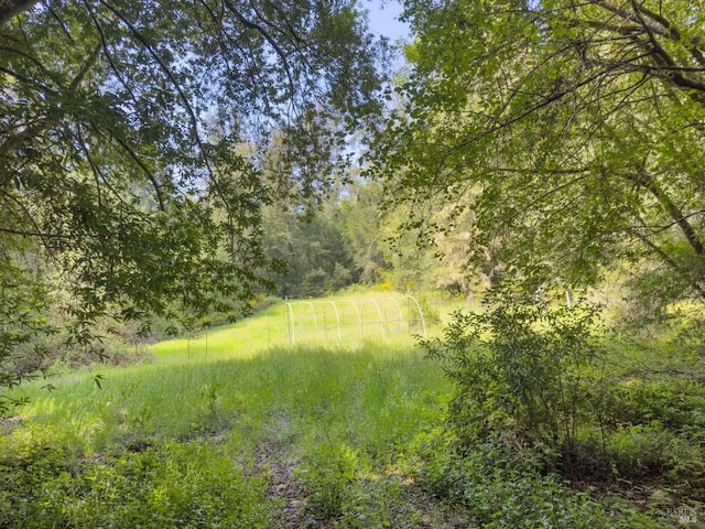 view of nature with a view of trees