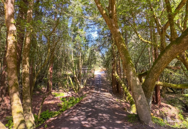 750 Wagnon Rd, Sebastopol, CA 95472 - view of surrounding community