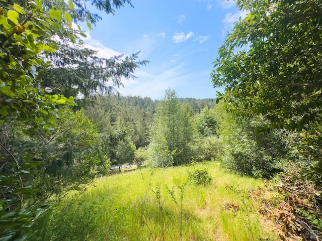 view of local wilderness featuring a view of trees