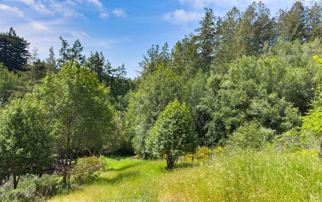 view of local wilderness with a forest view