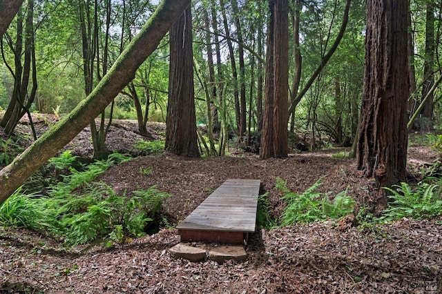 view of property's community