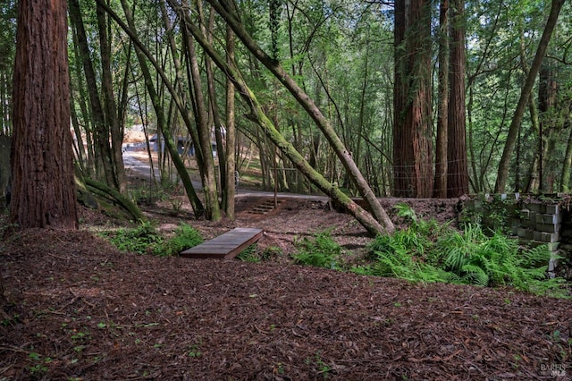 view of local wilderness