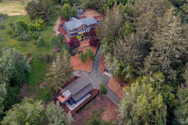 bird's eye view