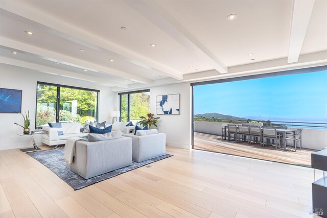 86 Sugarloaf Dr, Tiburon, CA 94920 - living room featuring baseboards, beamed ceiling, and wood finished floors