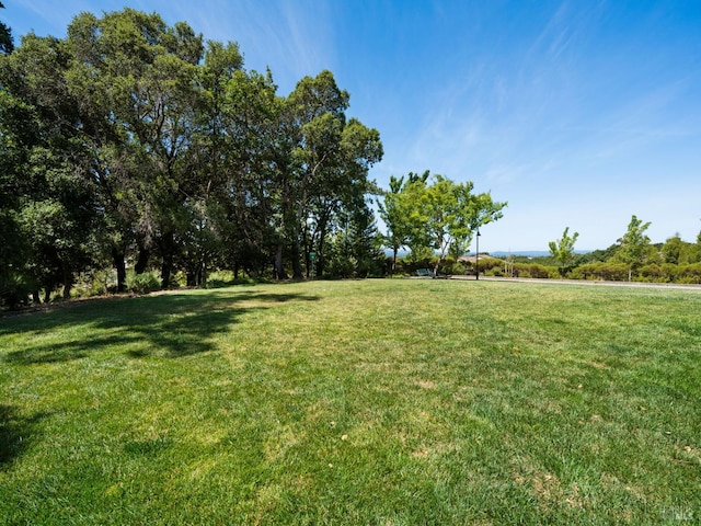 2342 Bell Flower Ln, Santa Rosa, CA 95404 - view of green lawn