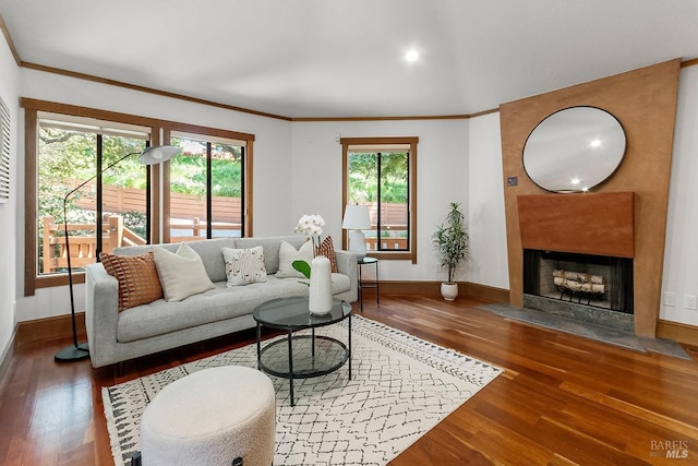 living area featuring wood-type flooring, baseboards, ornamental molding, and a large fireplace