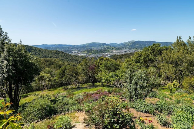 view of mountain feature with a wooded view