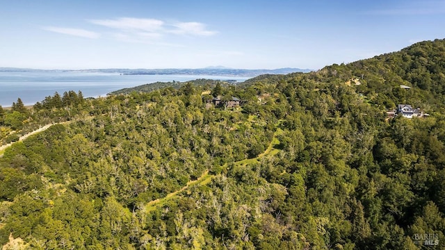 bird's eye view featuring a forest view and a water view