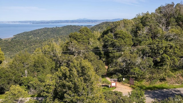 aerial view with a water and mountain view and a forest view