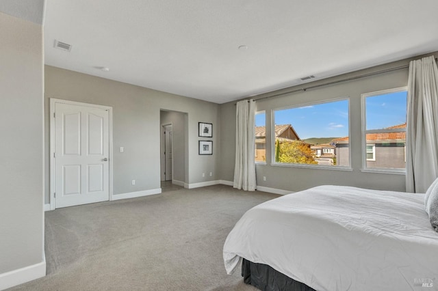 439 Mckenna Ct, Benicia, CA 94510 - carpeted bedroom with visible vents and baseboards