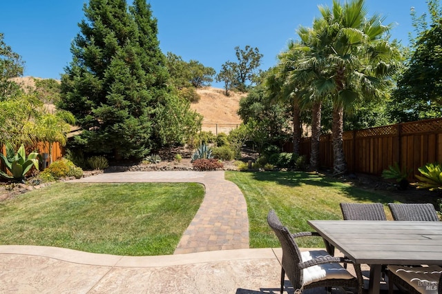 view of yard featuring outdoor dining area and a fenced backyard