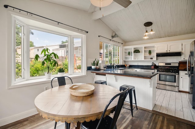 7600 Scenic Ct, Fair Oaks, CA 95628 - kitchen featuring appliances with stainless steel finishes, dark countertops, open shelves, light wood finished floors, and under cabinet range hood
