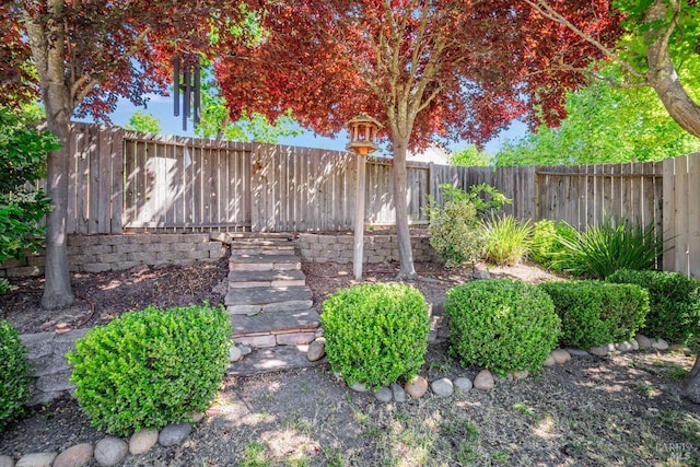 119 Philip Dr, Healdsburg, CA 95448 - view of fenced backyard
