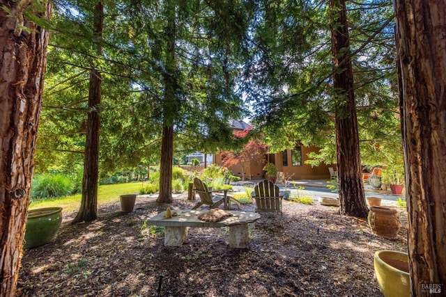 149 Auburn Way, Vacaville, CA 95688 - view of yard