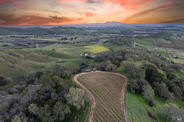 birds eye view of property featuring a mountain view and a rural view