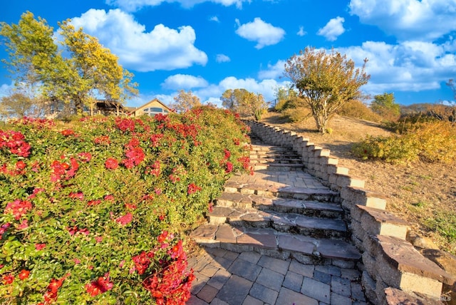 view of yard with stairway